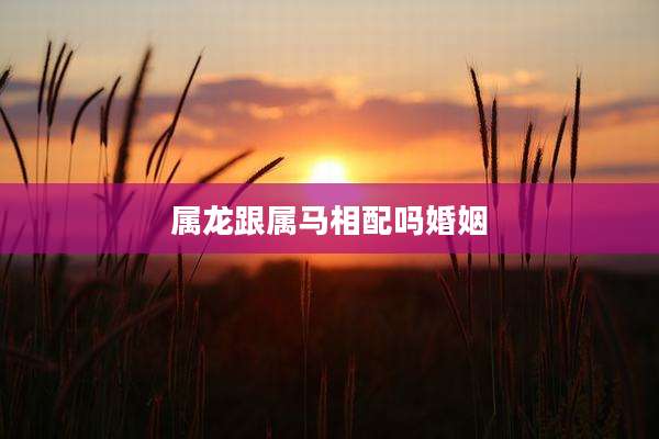 属龙跟属马相配吗婚姻