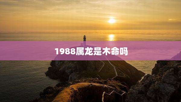 1988属龙是木命吗