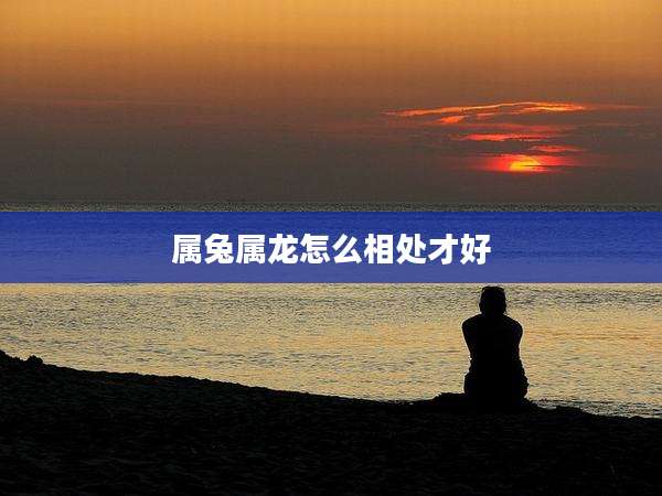 属兔属龙怎么相处才好