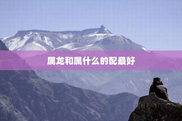 属龙和属什么的配最好