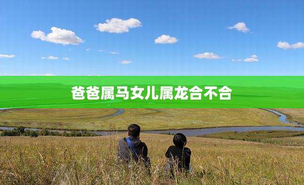 爸爸属马女儿属龙合不合