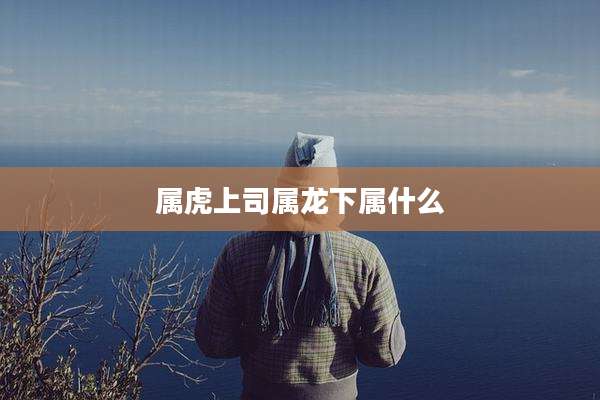 属虎上司属龙下属什么