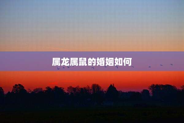 属龙属鼠的婚姻如何