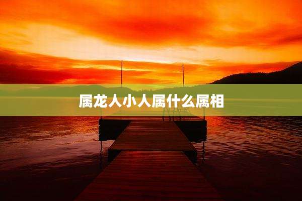 属龙人小人属什么属相