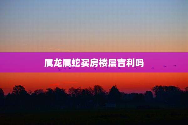 属龙属蛇买房楼层吉利吗