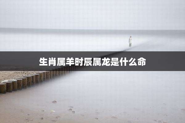 生肖属羊时辰属龙是什么命