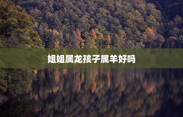 姐姐属龙孩子属羊好吗