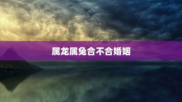 属龙属兔合不合婚姻