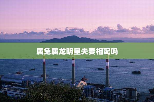 属兔属龙明星夫妻相配吗