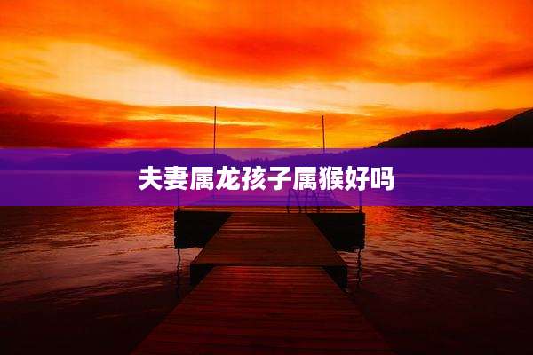 夫妻属龙孩子属猴好吗