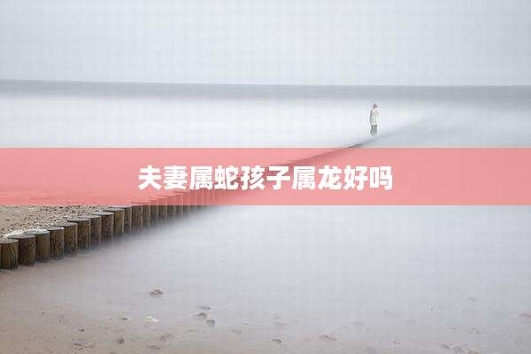 夫妻属蛇孩子属龙好吗