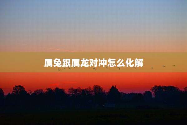 属兔跟属龙对冲怎么化解