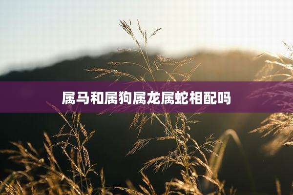 属马和属狗属龙属蛇相配吗