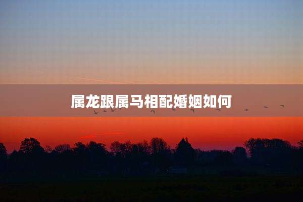 属龙跟属马相配婚姻如何