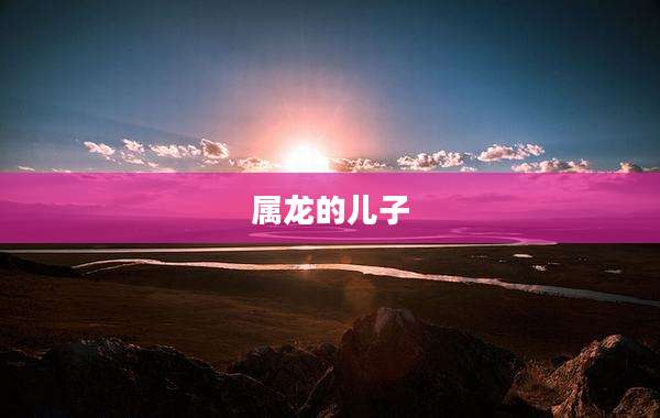 属龙的儿子