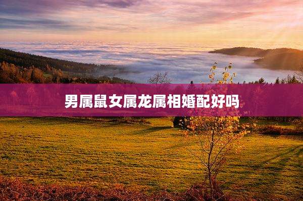 男属鼠女属龙属相婚配好吗