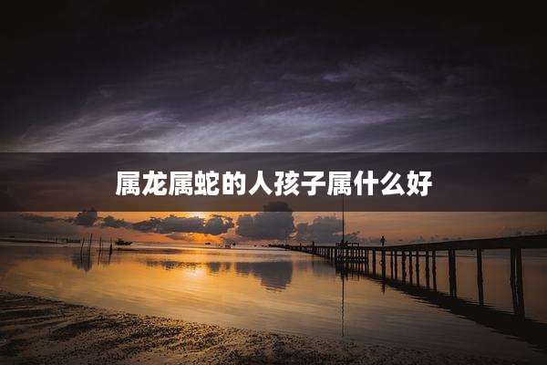 属龙属蛇的人孩子属什么好