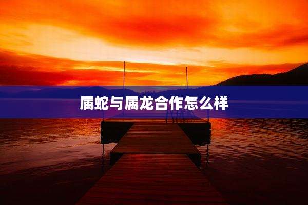 属蛇与属龙合作怎么样