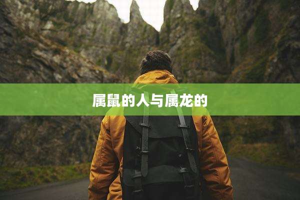 属鼠的人与属龙的