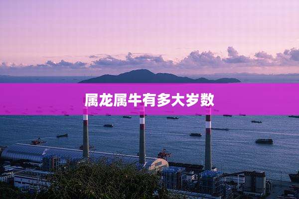 属龙属牛有多大岁数