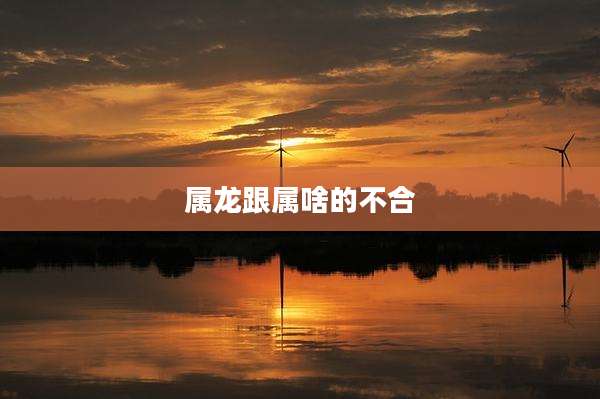 属龙跟属啥的不合