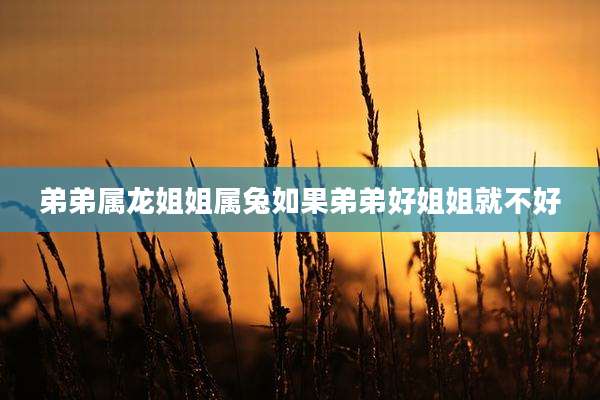 弟弟属龙姐姐属兔如果弟弟好姐姐就不好