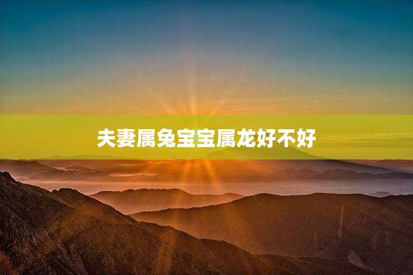 夫妻属兔宝宝属龙好不好