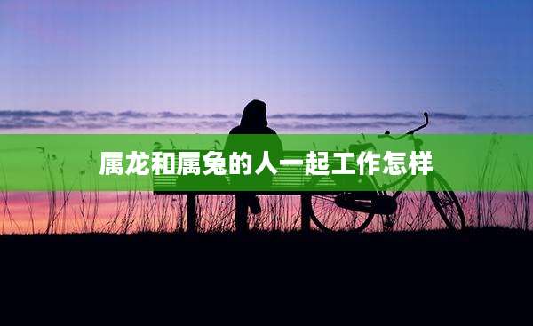 属龙和属兔的人一起工作怎样