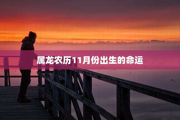 属龙农历11月份出生的命运
