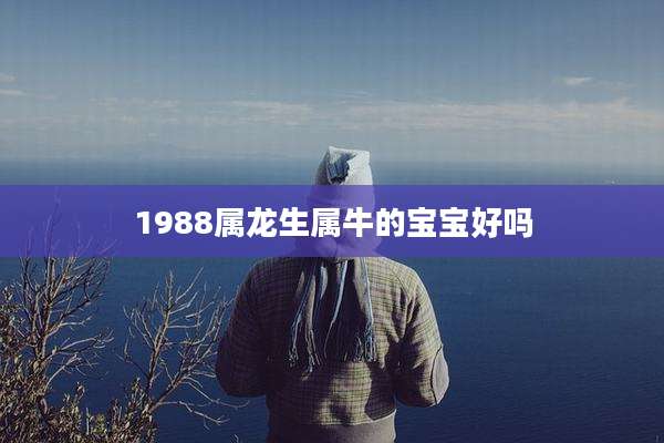 1988属龙生属牛的宝宝好吗