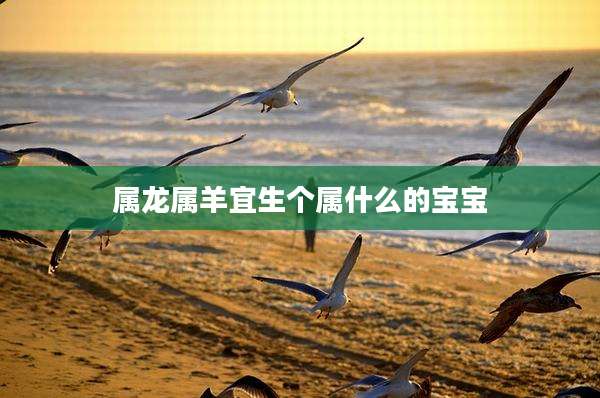 属龙属羊宜生个属什么的宝宝