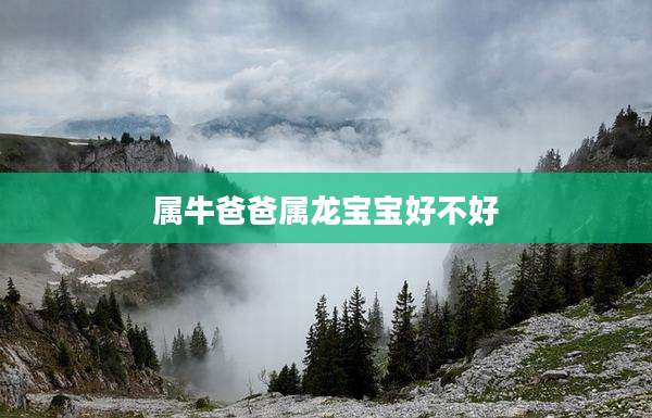 属牛爸爸属龙宝宝好不好
