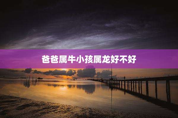 爸爸属牛小孩属龙好不好