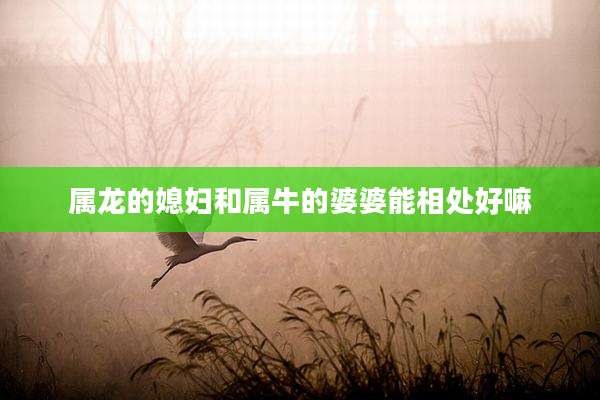 属龙的媳妇和属牛的婆婆能相处好嘛