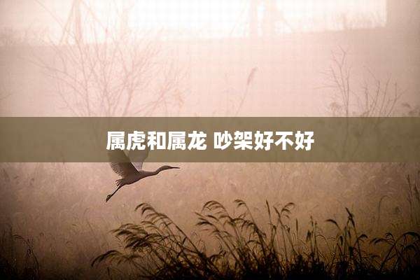 属虎和属龙 吵架好不好