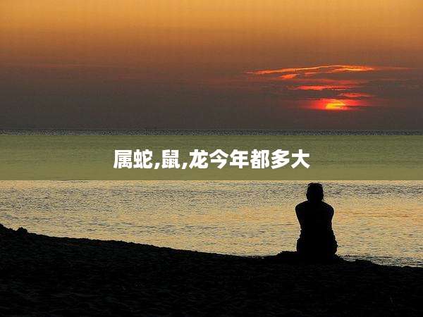 属蛇,鼠,龙今年都多大