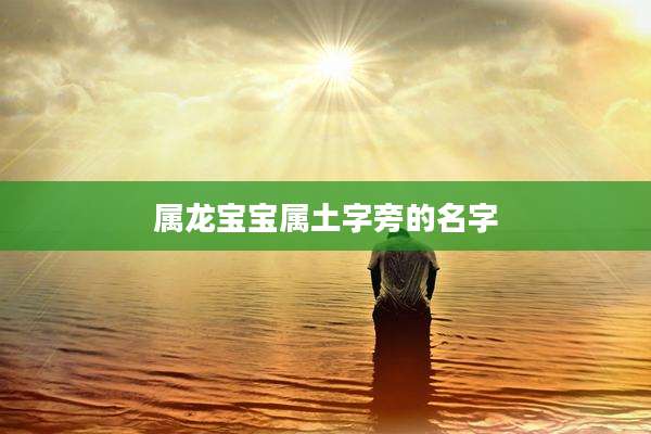 属龙宝宝属土字旁的名字
