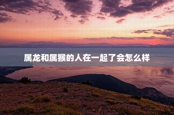 属龙和属猴的人在一起了会怎么样