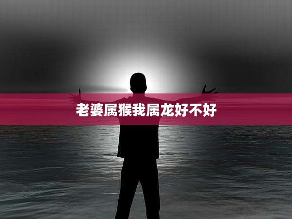 老婆属猴我属龙好不好