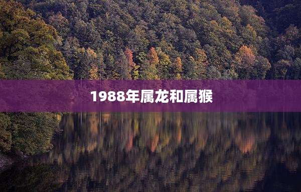 1988年属龙和属猴