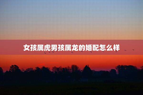 女孩属虎男孩属龙的婚配怎么样