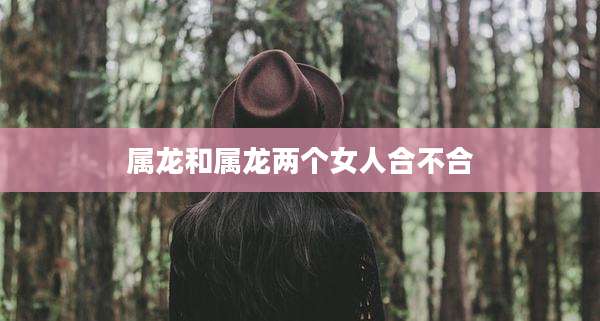 属龙和属龙两个女人合不合
