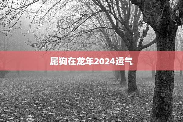 属狗在龙年2024运气