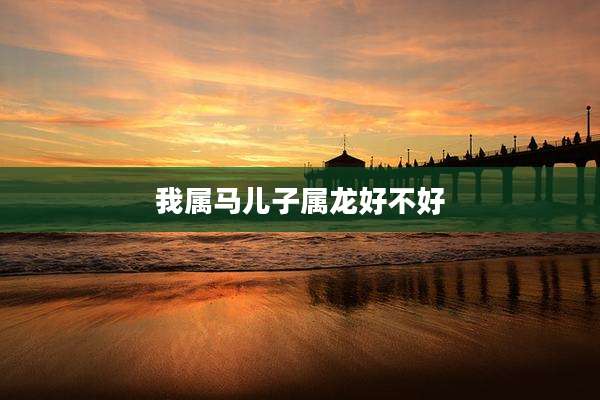 我属马儿子属龙好不好