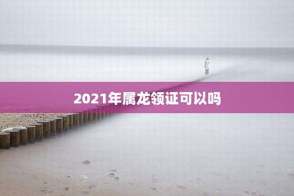2021年属龙领证可以吗