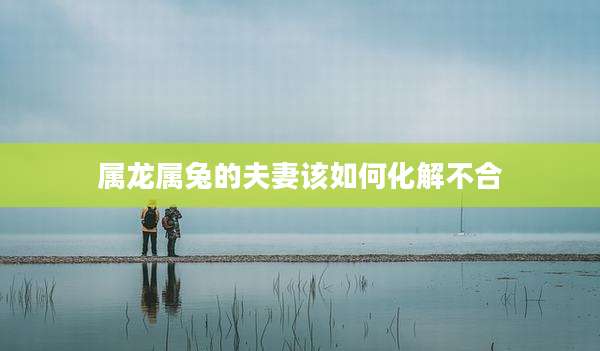 属龙属兔的夫妻该如何化解不合