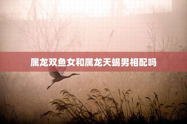 属龙双鱼女和属龙天蝎男相配吗