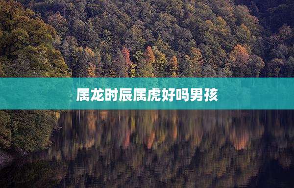 属龙时辰属虎好吗男孩