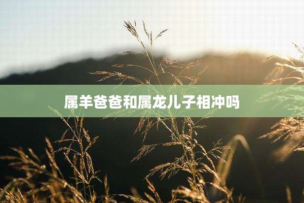 属羊爸爸和属龙儿子相冲吗