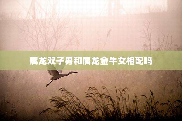 属龙双子男和属龙金牛女相配吗